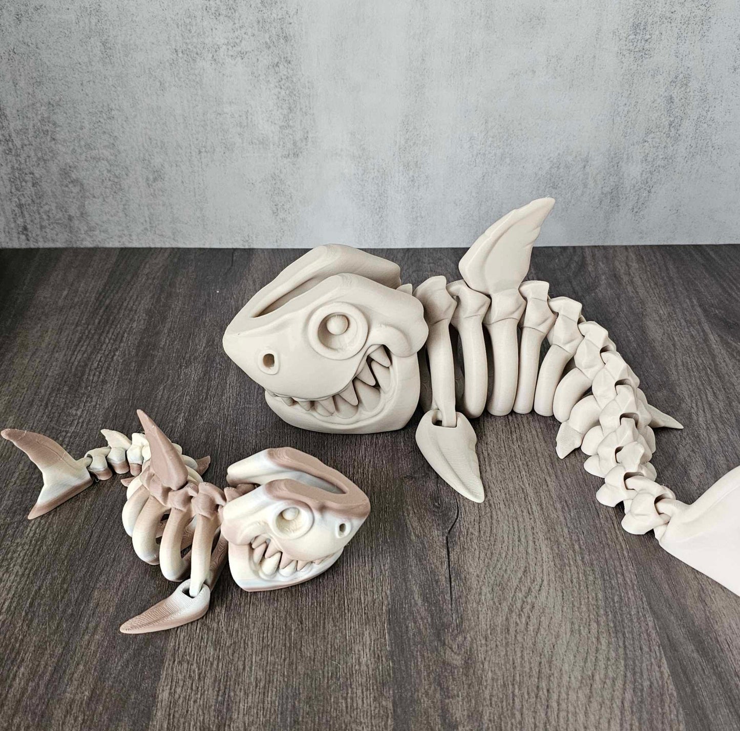 Megalodon Skeleton