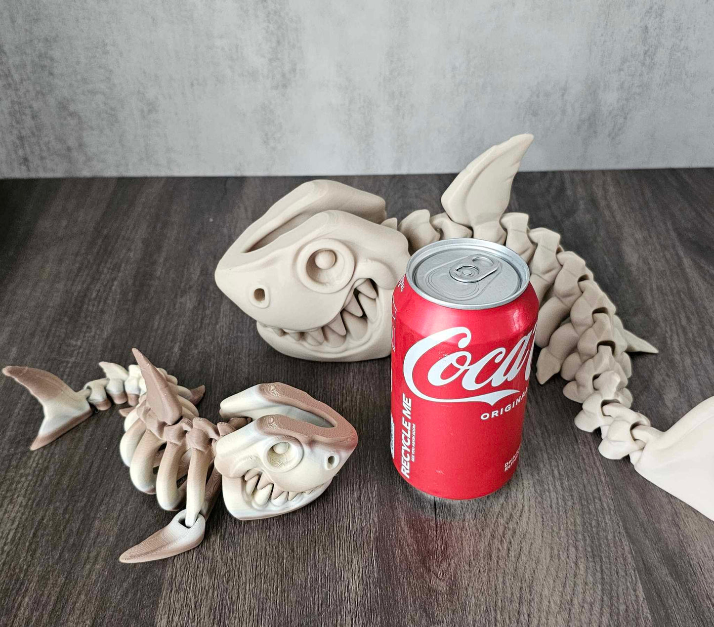 Megalodon Skeleton