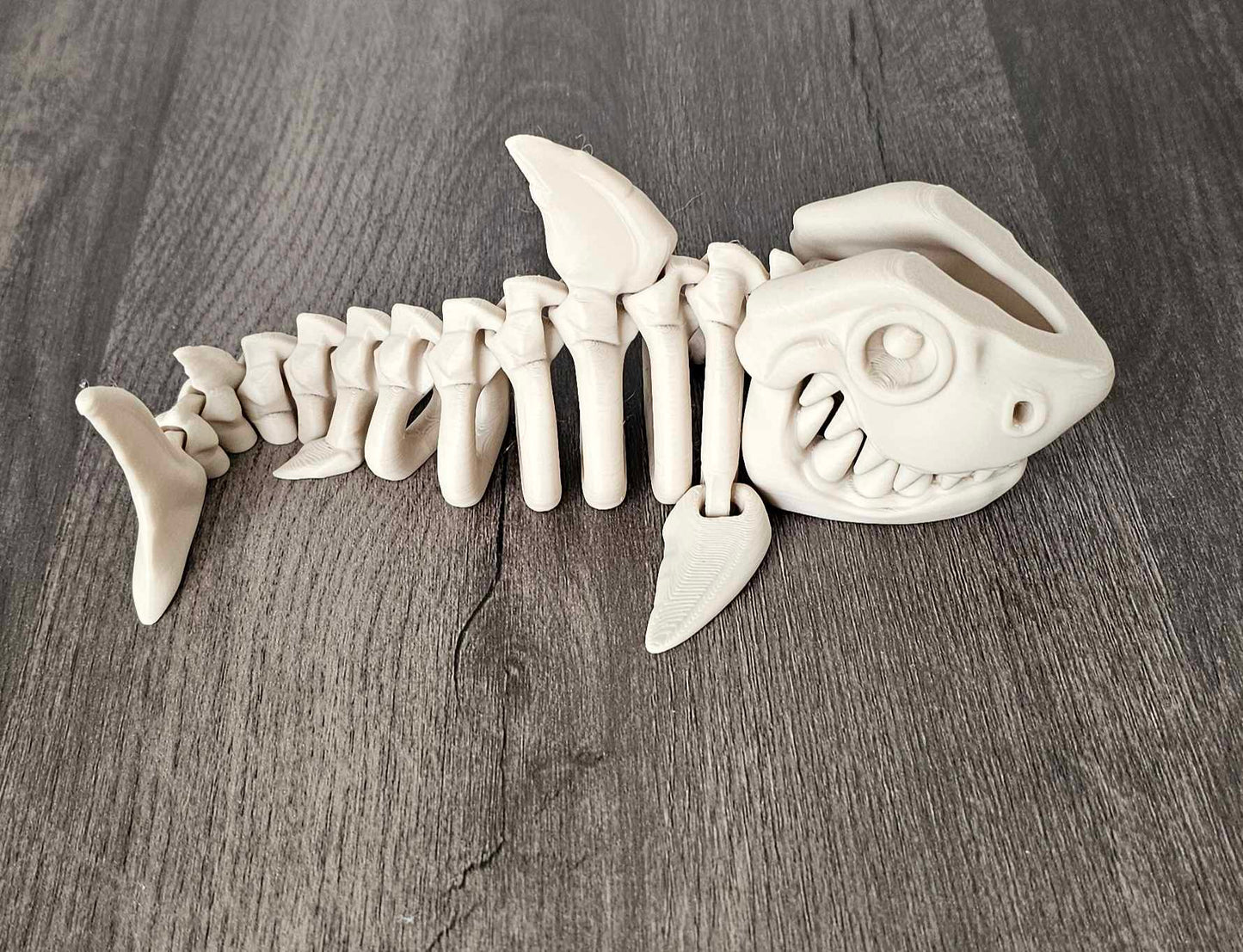 Megalodon Skeleton
