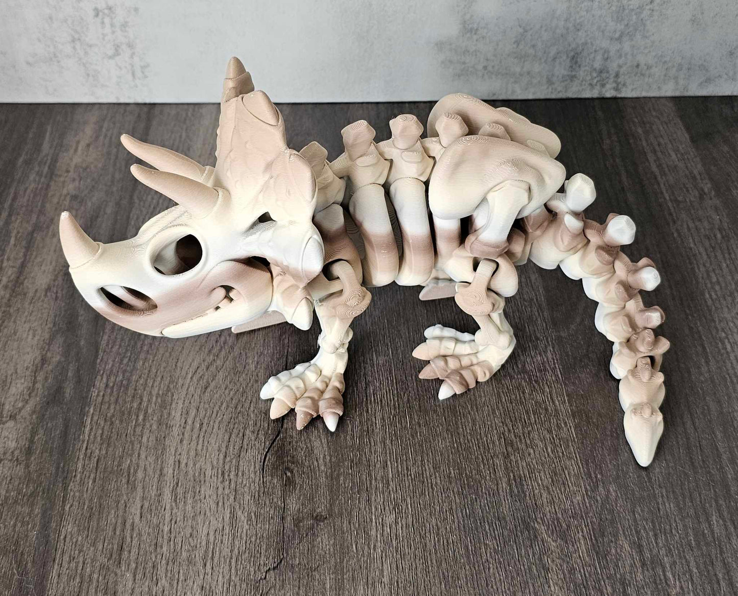 Triceratops Skeleton