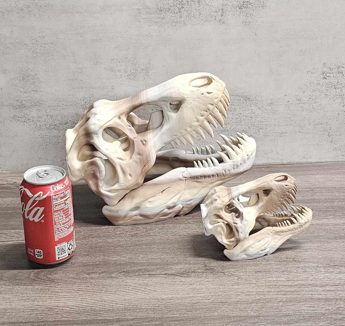 T-Rex Skull