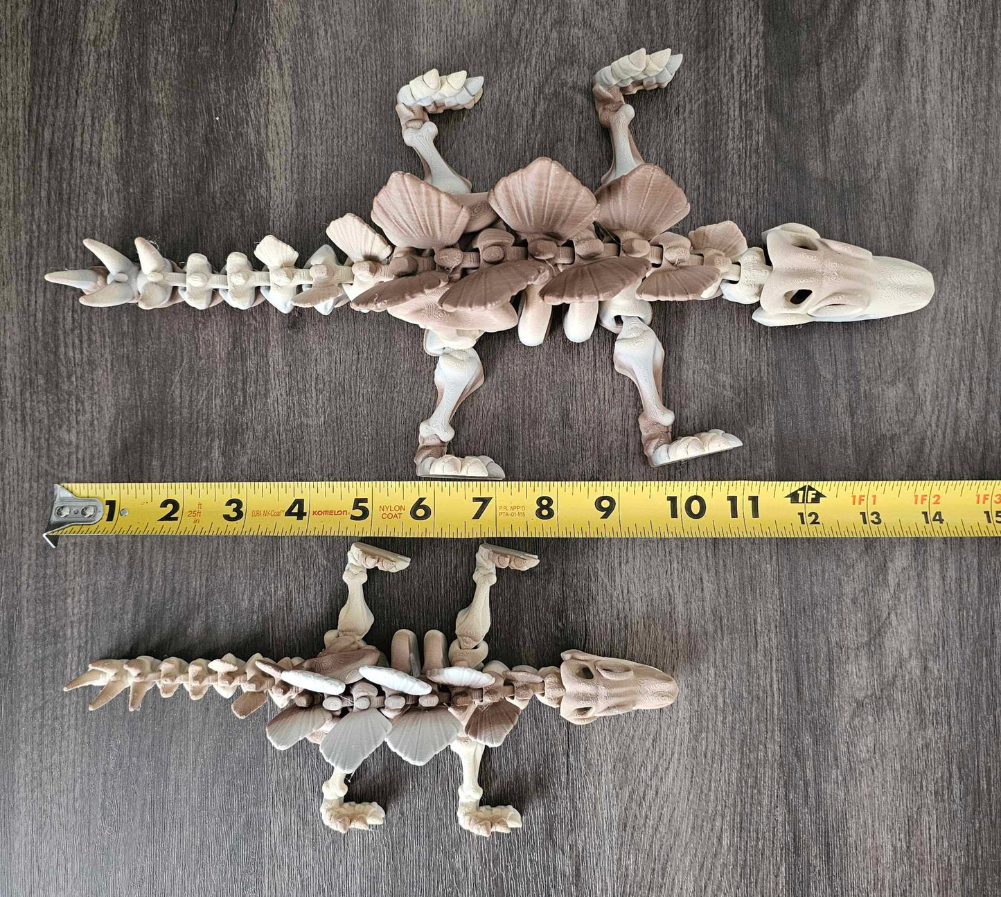 Stegosaurus Skeleton