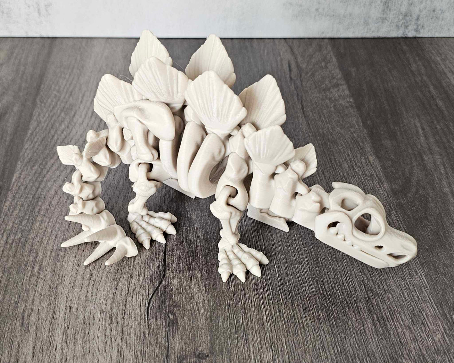 Stegosaurus Skeleton