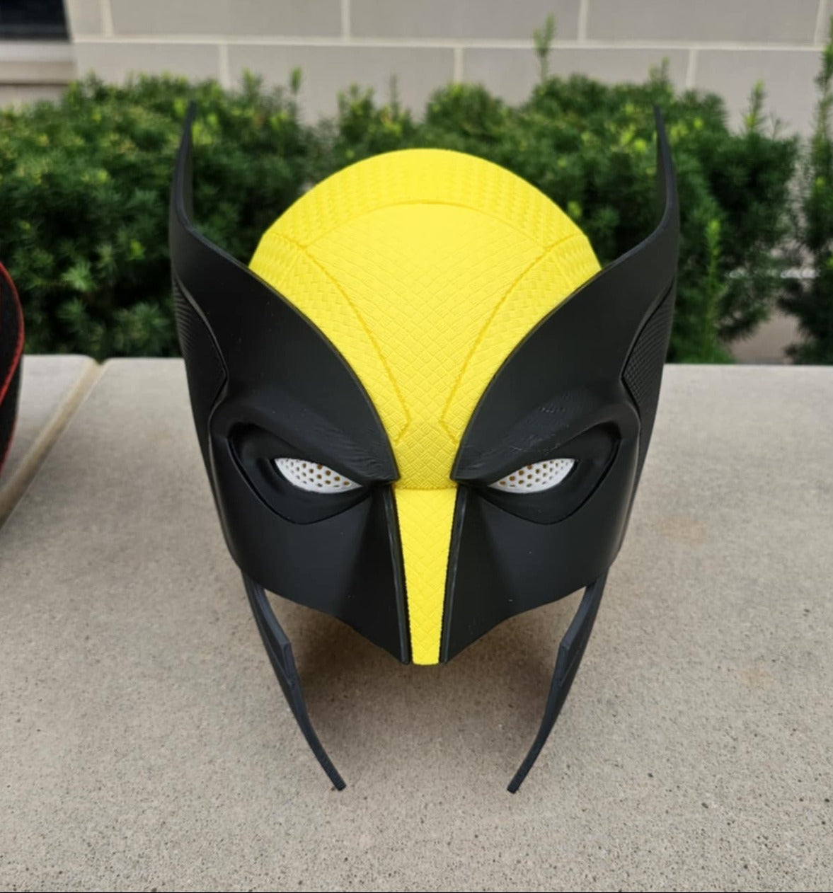 Wolverine Helmet/Mask